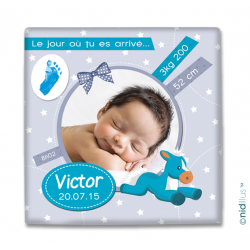 Tableau de Naissance "Cheval"