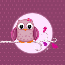 Coupon Minky "Chouette sur...