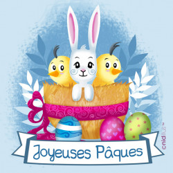 Coupon Polycoton "Lapin de...