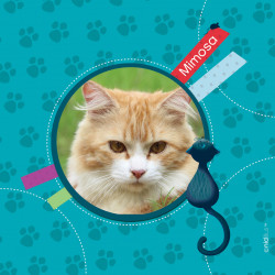 Coupon "Univers chat avec...