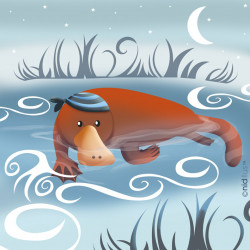 Coupon "Ornithorynque bleu"...
