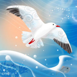 Coupon "Mouette" -Polycoton...