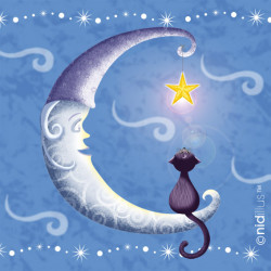 Coupon Polycoton "Lune et...