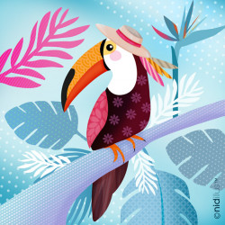 Coupon Polycoton "Toucan...