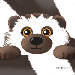 T18-"Lémurien doudou"...