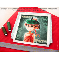 Coupon velours 235gr "Lutin TIGA et champignon" T15 -EN STOCK
