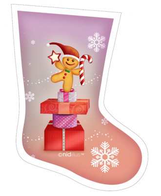 Coupon Chaussette polycoton...