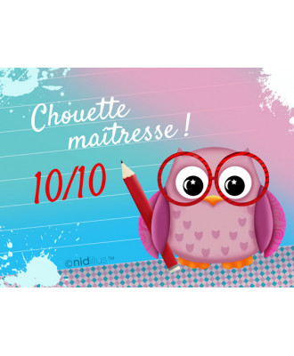 Coupon polycoton "Chouette maîtresse" T1216- En stock