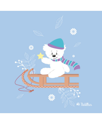 T15- "Ourson blanc et Luge"...