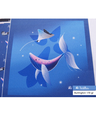 Baleine de Bretagne-...