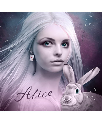 T20- "Alice et son lapin...