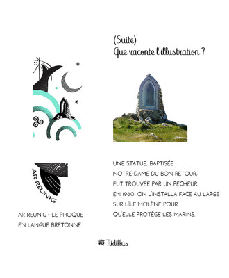 "Phoques de Molène - Bretagne" Velours 400gr  - EN STOCK