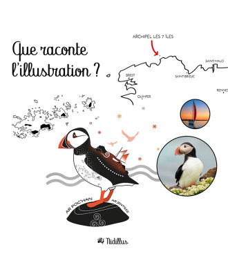 Coupon Velours 400gr "Macareux des 7 îles - Côtes-d'Armor Bretagne" T15  - EN STOCK