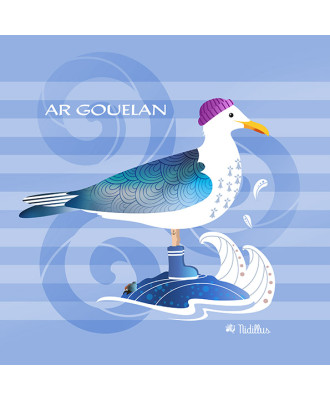 T35-" Le goéland breton"...