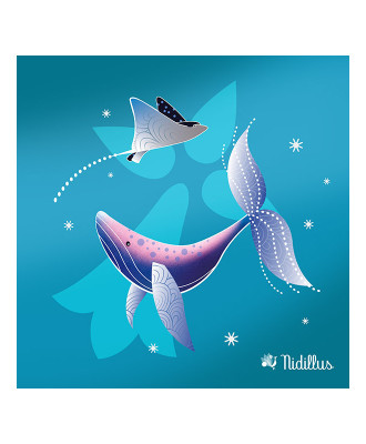 T15- " Baleine de Bretagne-...