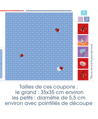 Collection "La violoniste aux coquelicots" - 21 coupons illustrés - Précommande
