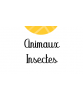 Animaux / Insectes