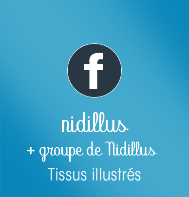 https://fr-fr.facebook.com/nidillus/