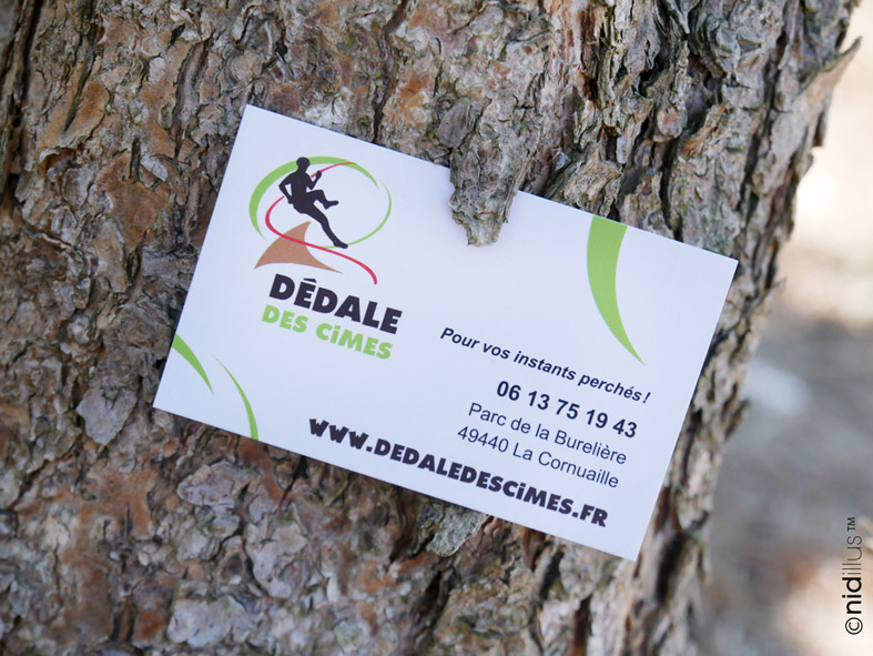 creation logo parc accrobranche graphiste freelance