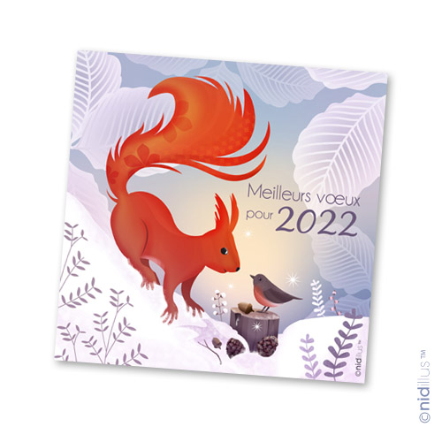 carte illustree illustration nidillus scaremoli